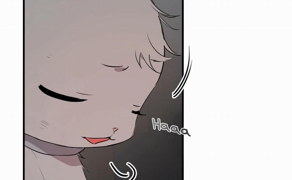 Đàn Thỏ Của Habibi 46 trang 196