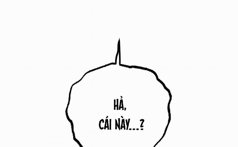 Đàn Thỏ Của Habibi 46 trang 208