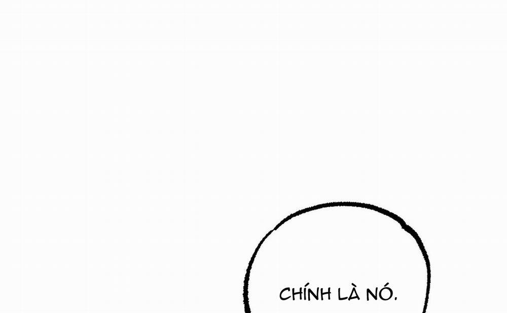 Đàn Thỏ Của Habibi 46 trang 210