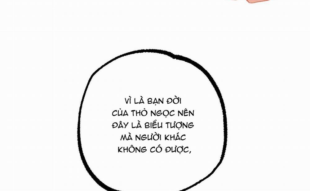 Đàn Thỏ Của Habibi 46 trang 219