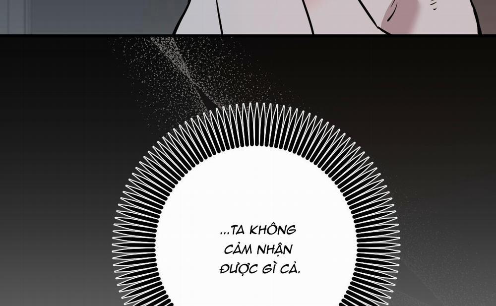 Đàn Thỏ Của Habibi 46 trang 236