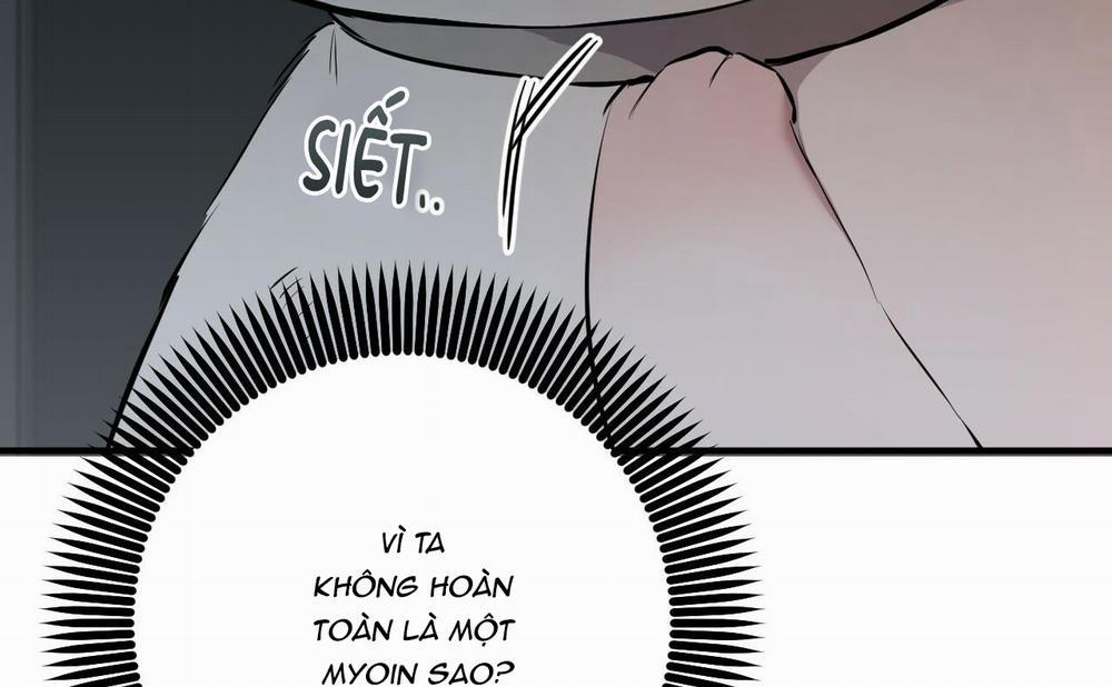 Đàn Thỏ Của Habibi 46 trang 240