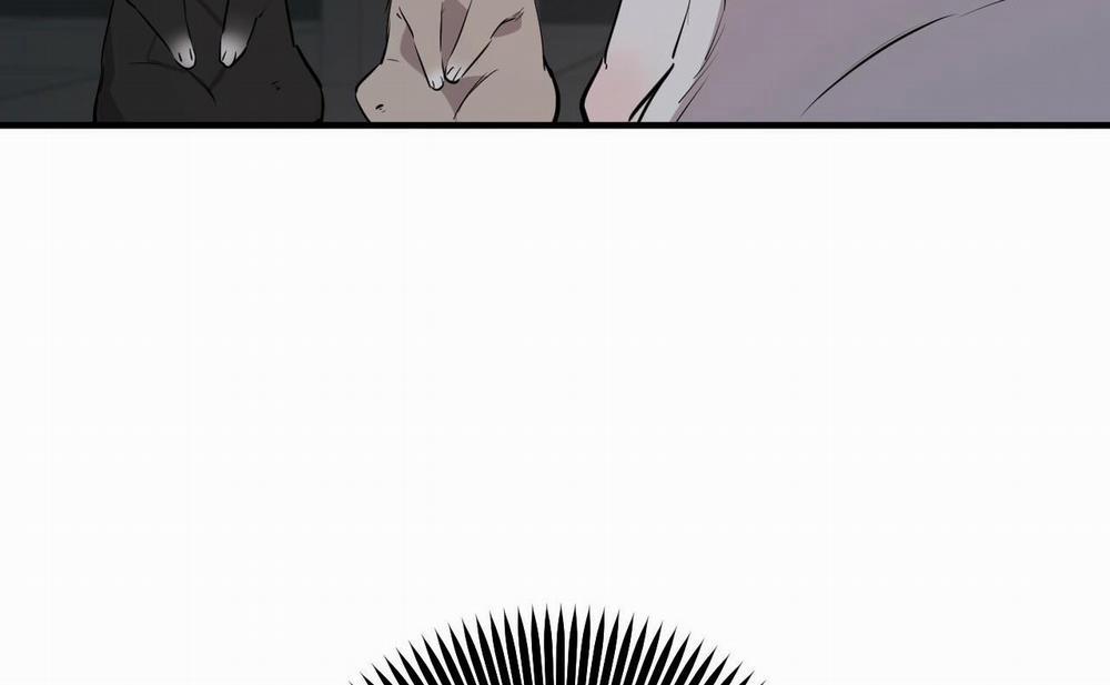 Đàn Thỏ Của Habibi 46 trang 253