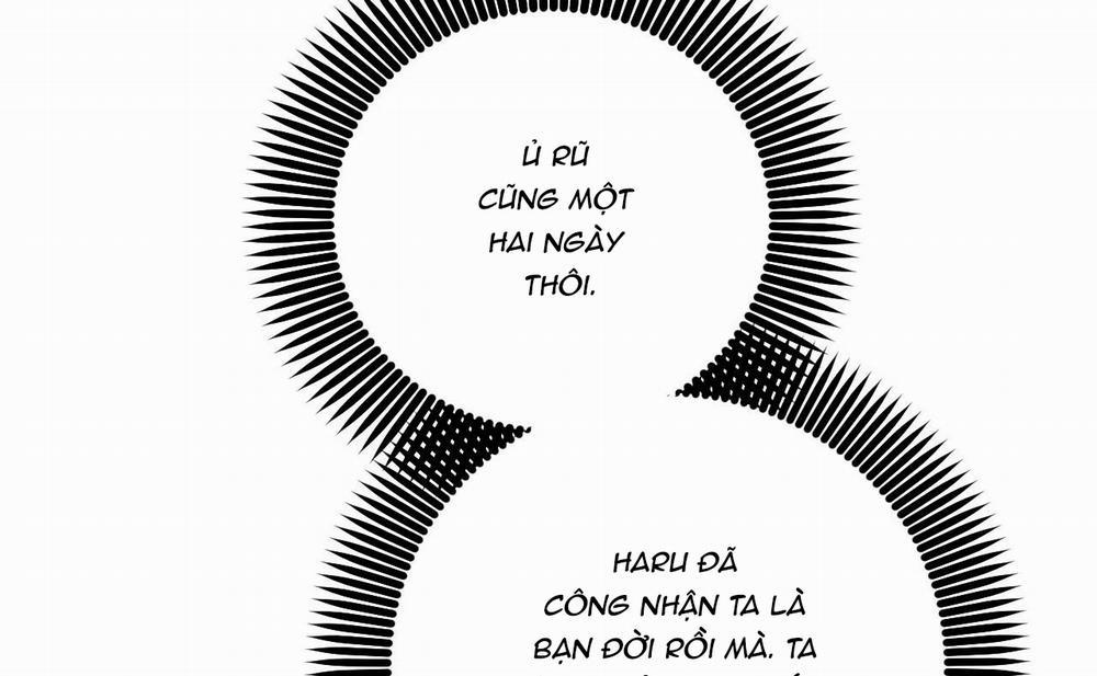 Đàn Thỏ Của Habibi 46 trang 254