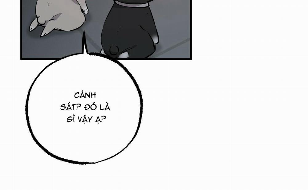 Đàn Thỏ Của Habibi 46 trang 264