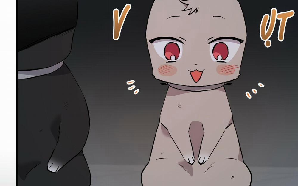 Đàn Thỏ Của Habibi 46 trang 267