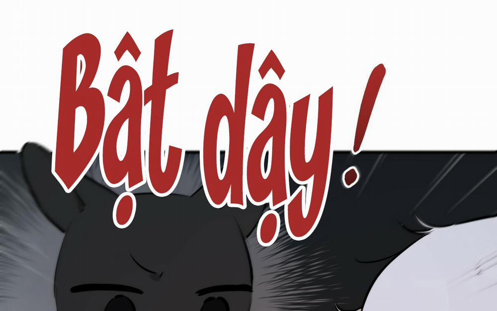 Đàn Thỏ Của Habibi 46 trang 282