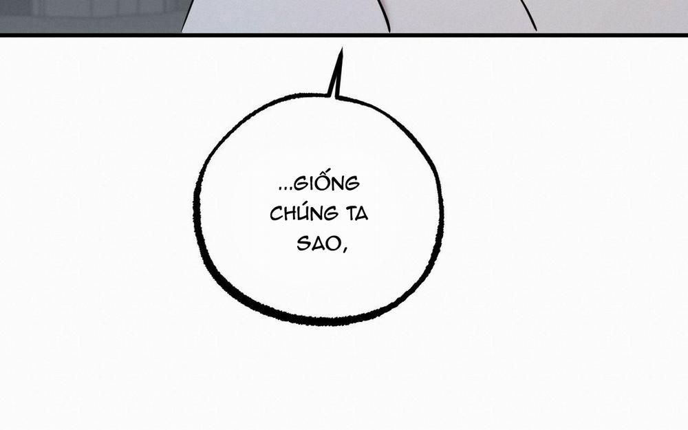 Đàn Thỏ Của Habibi 46 trang 288