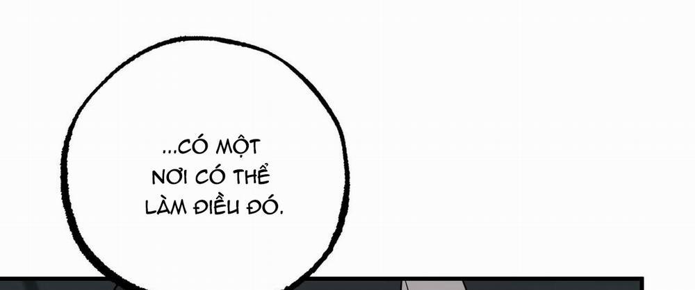 Đàn Thỏ Của Habibi 46 trang 294