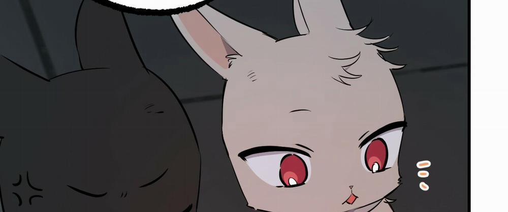 Đàn Thỏ Của Habibi 46 trang 295