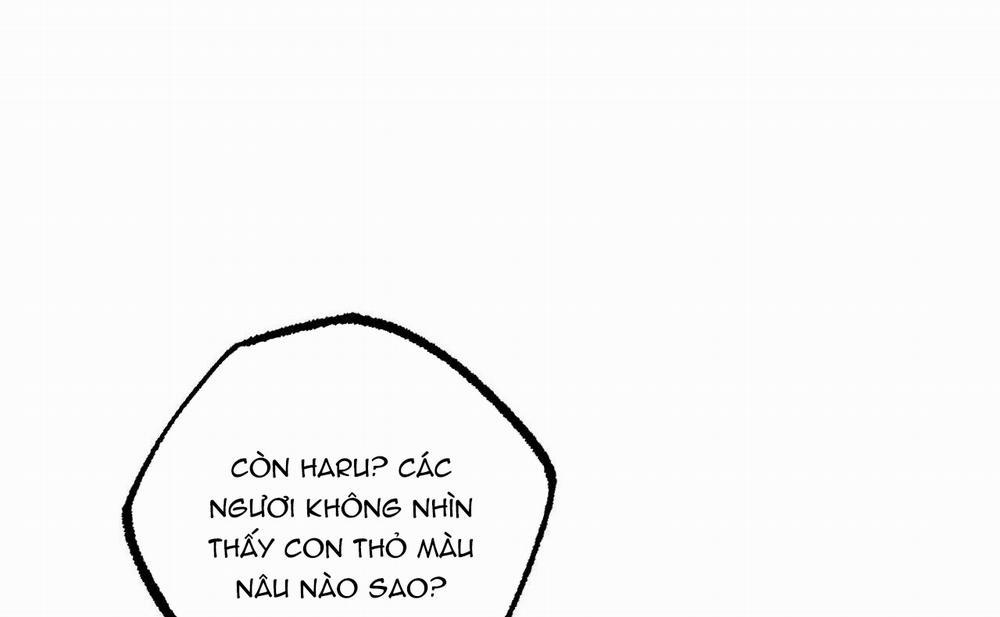 Đàn Thỏ Của Habibi 46 trang 41