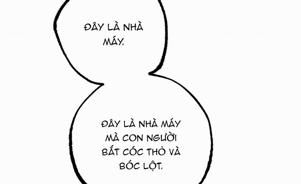 Đàn Thỏ Của Habibi 46 trang 57