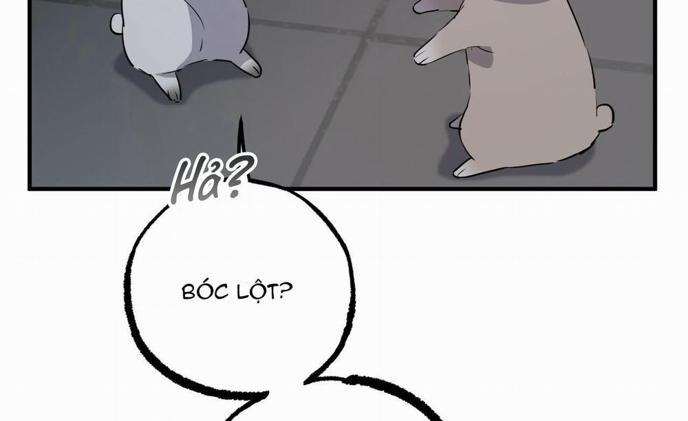 Đàn Thỏ Của Habibi 46 trang 59