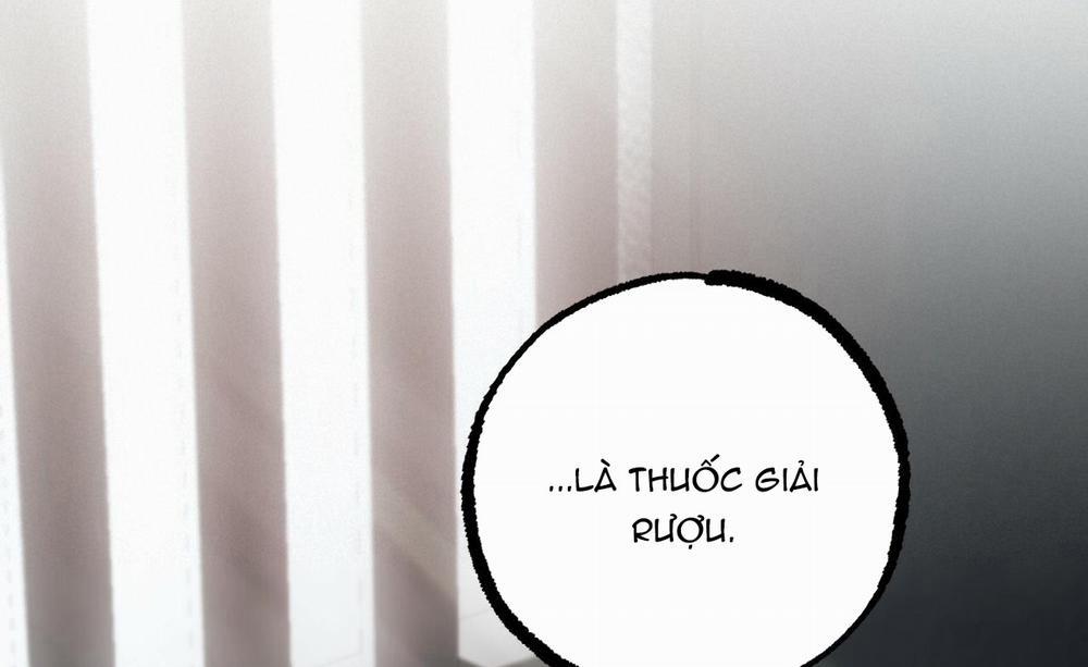 Đàn Thỏ Của Habibi 46 trang 64