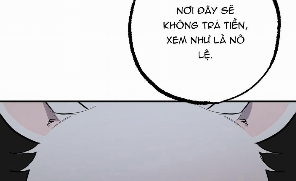 Đàn Thỏ Của Habibi 46 trang 70