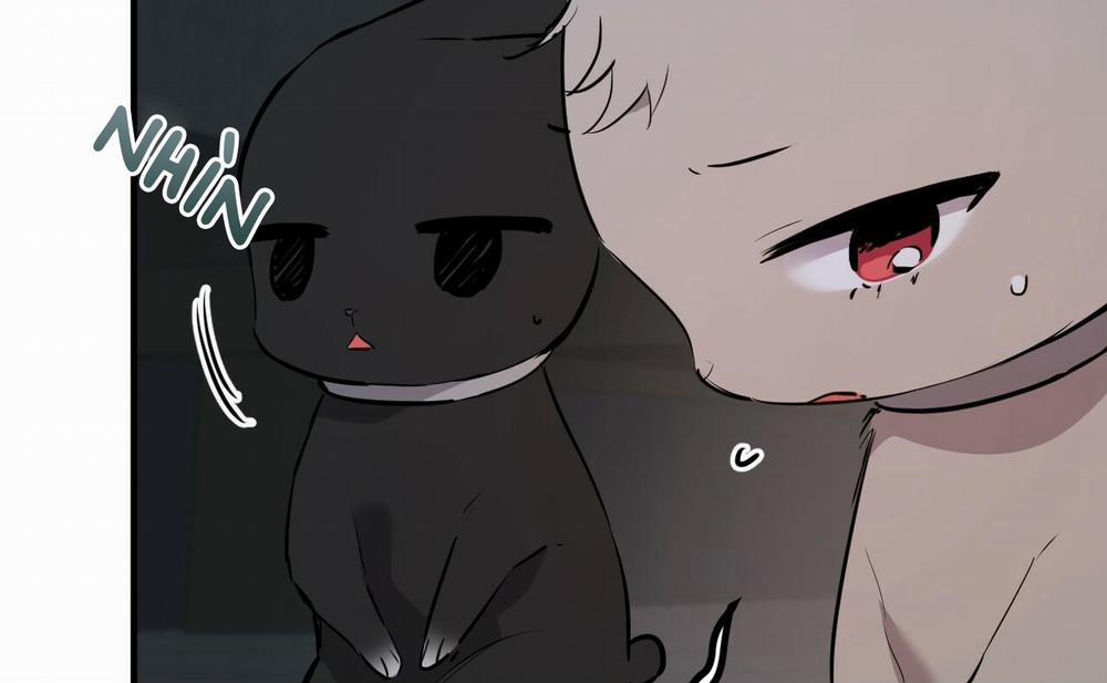 Đàn Thỏ Của Habibi 46 trang 76