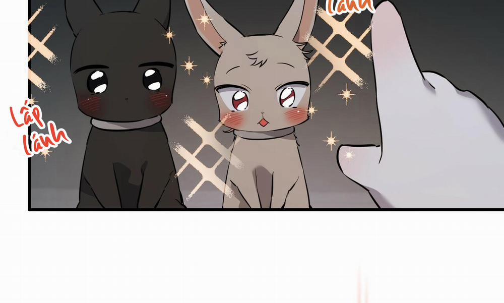 Đàn Thỏ Của Habibi 47 trang 10