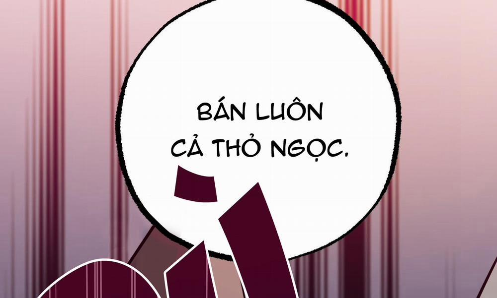 Đàn Thỏ Của Habibi 47 trang 12