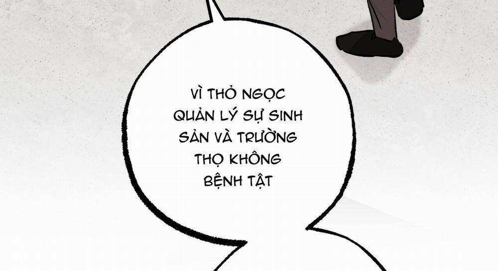 Đàn Thỏ Của Habibi 47 trang 124