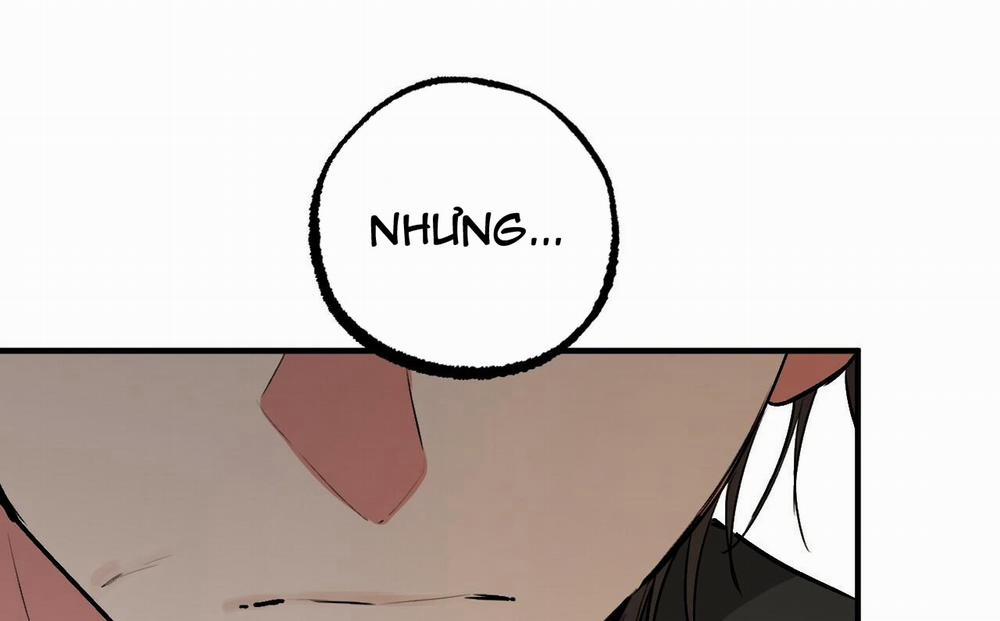 Đàn Thỏ Của Habibi 47 trang 148