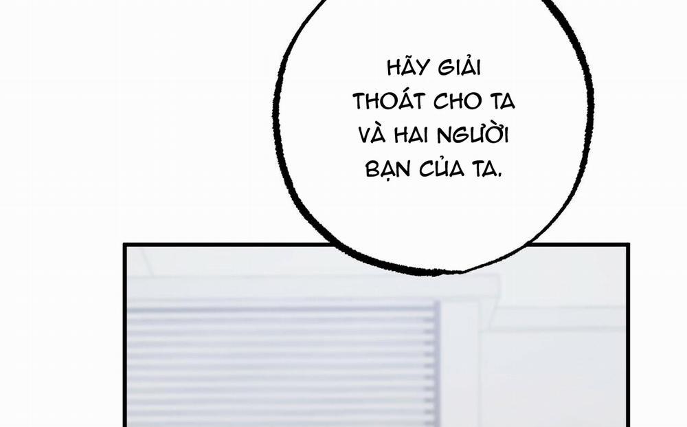 Đàn Thỏ Của Habibi 47 trang 159