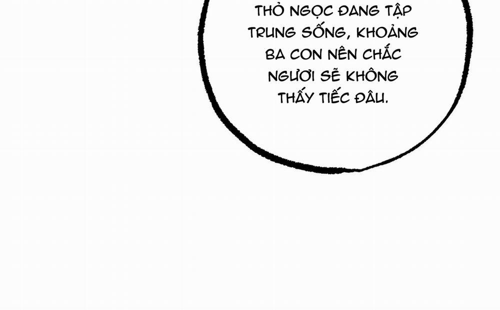 Đàn Thỏ Của Habibi 47 trang 165