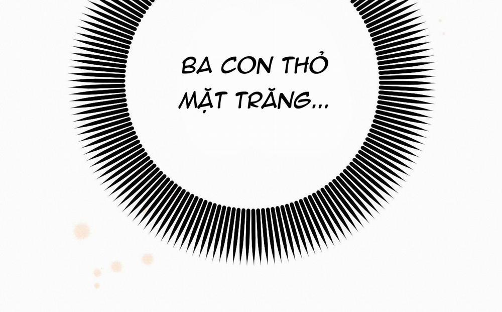 Đàn Thỏ Của Habibi 47 trang 167