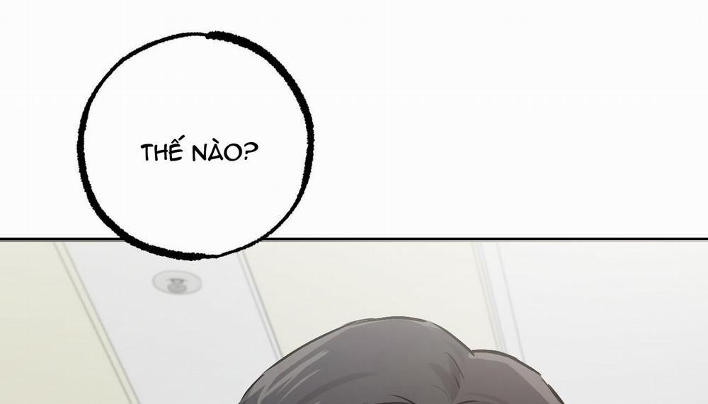 Đàn Thỏ Của Habibi 47 trang 174