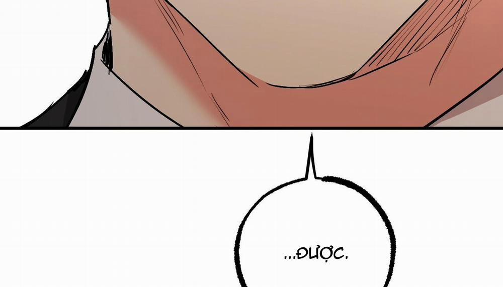 Đàn Thỏ Của Habibi 47 trang 179