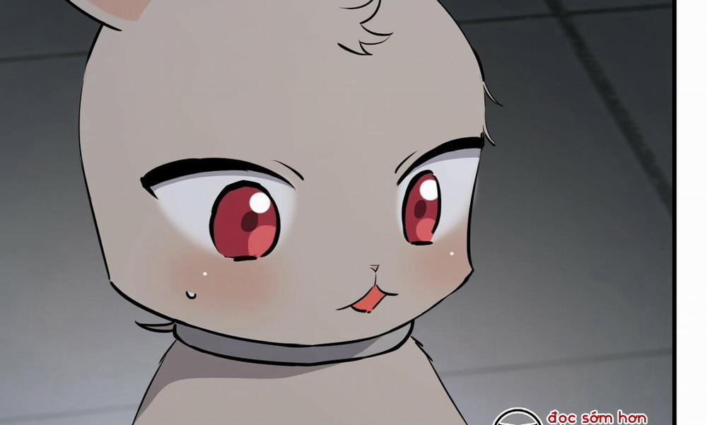 Đàn Thỏ Của Habibi 47 trang 2