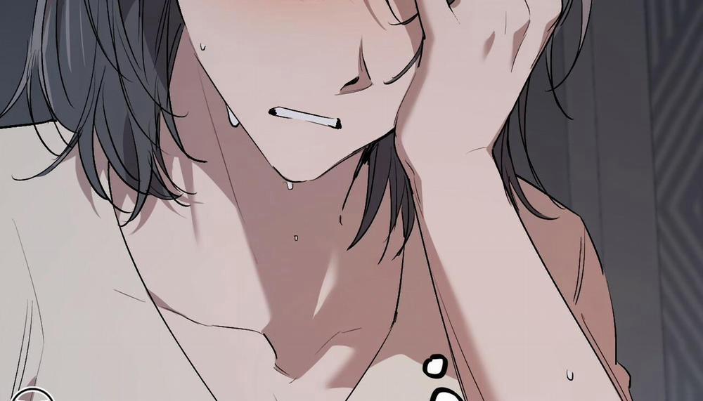 Đàn Thỏ Của Habibi 47 trang 212