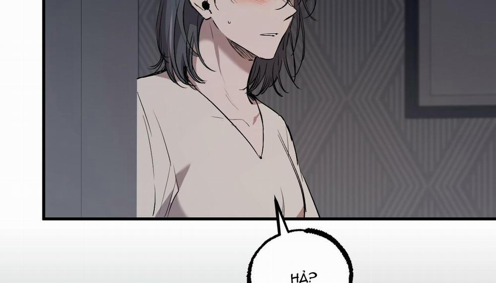 Đàn Thỏ Của Habibi 47 trang 224