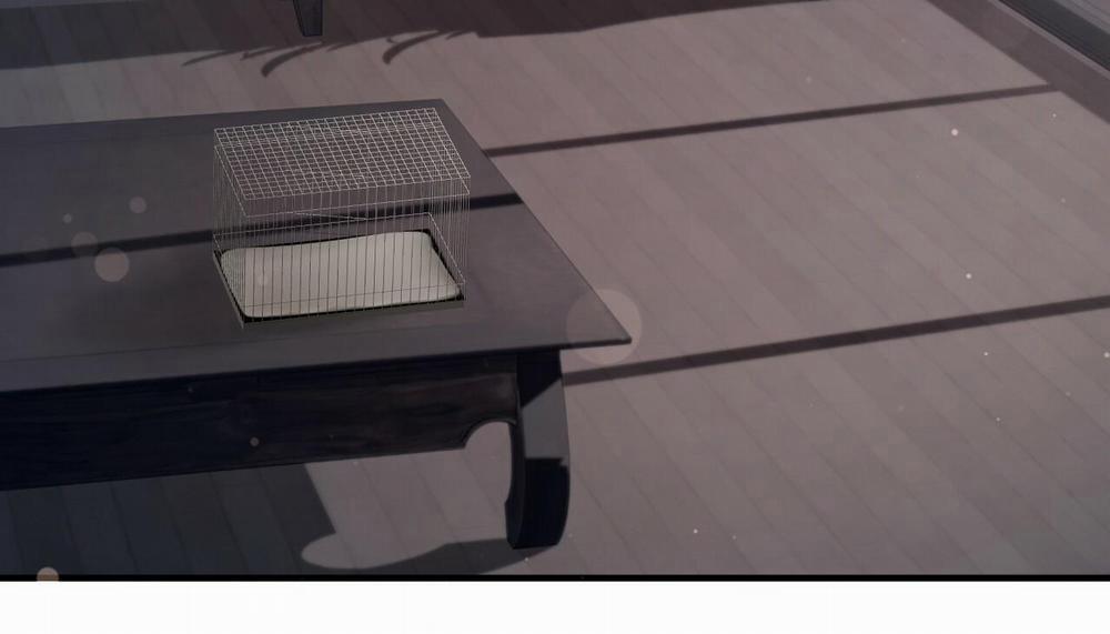 Đàn Thỏ Của Habibi 47 trang 228