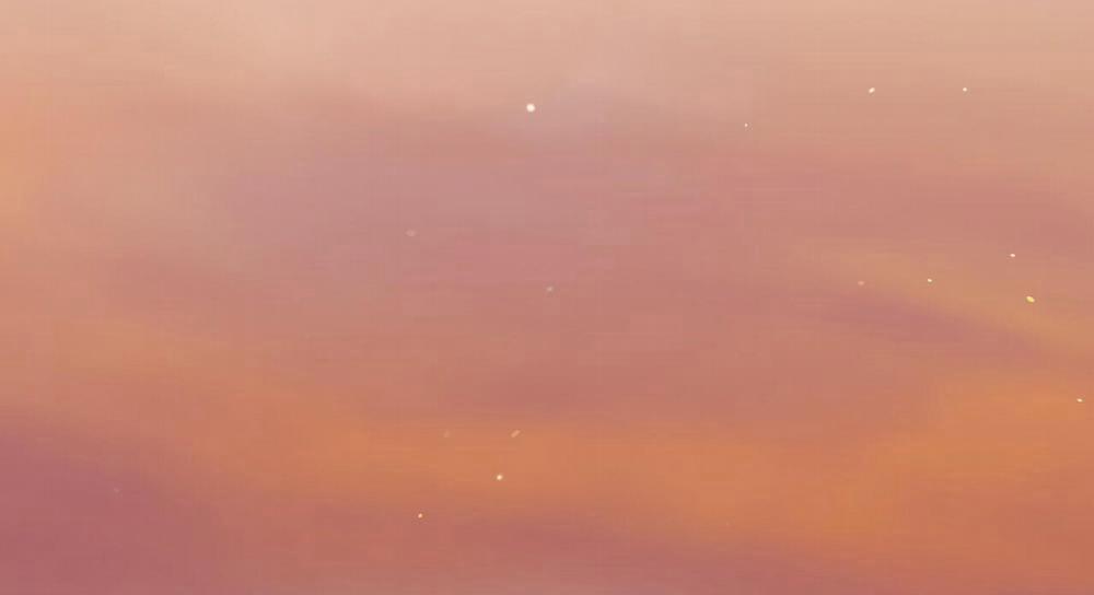 Đàn Thỏ Của Habibi 47 trang 236