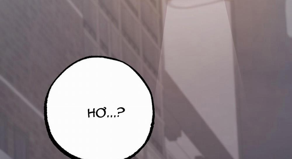 Đàn Thỏ Của Habibi 47 trang 275