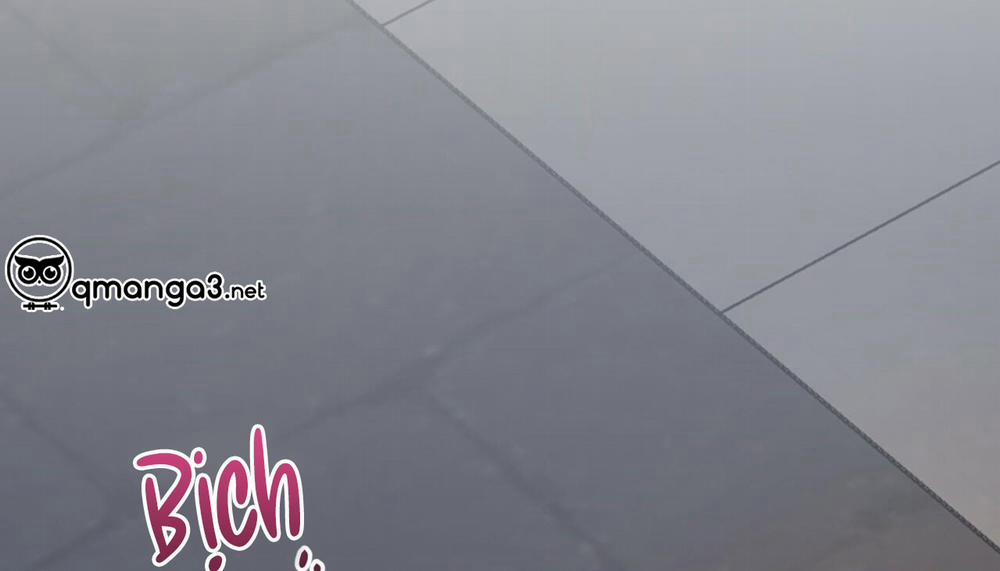 Đàn Thỏ Của Habibi 47 trang 297