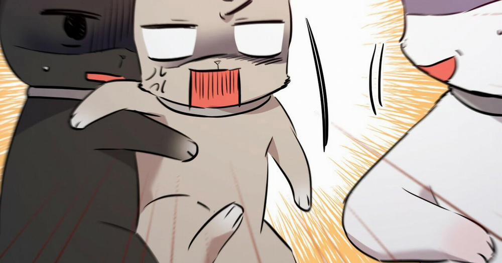 Đàn Thỏ Của Habibi 47 trang 30