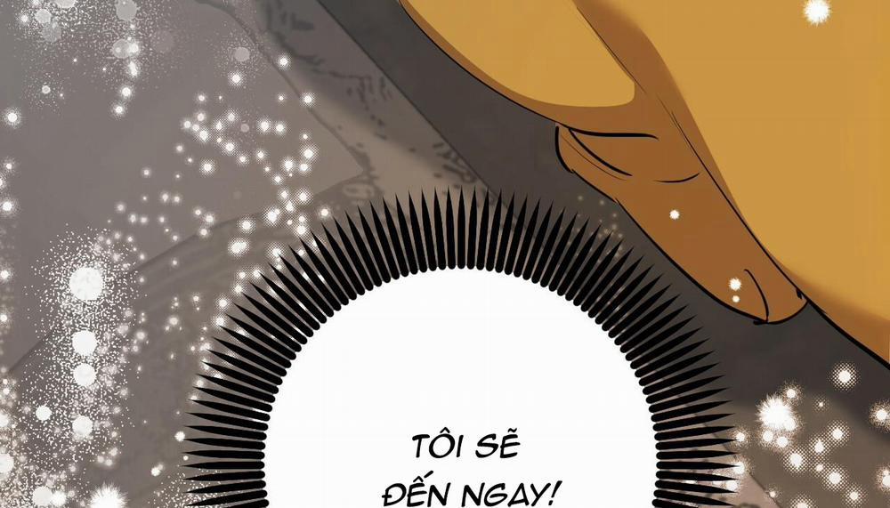 Đàn Thỏ Của Habibi 47 trang 302