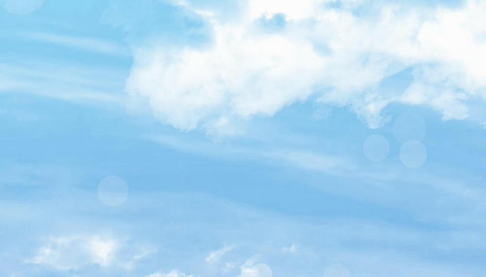 Đàn Thỏ Của Habibi 47 trang 305