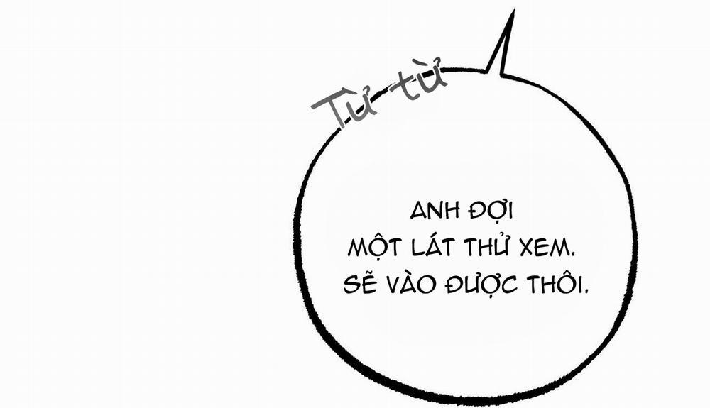 Đàn Thỏ Của Habibi 48 trang 149