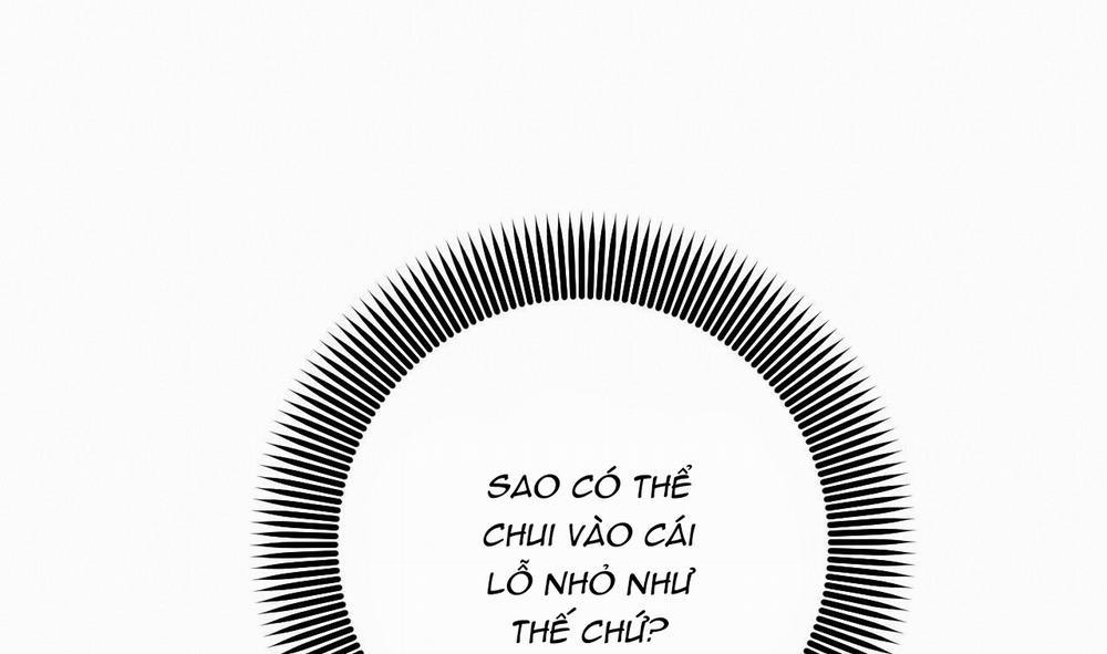 Đàn Thỏ Của Habibi 48 trang 158