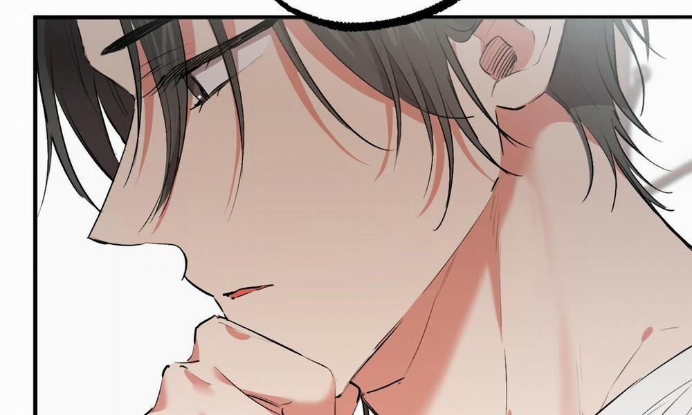 Đàn Thỏ Của Habibi 48 trang 17