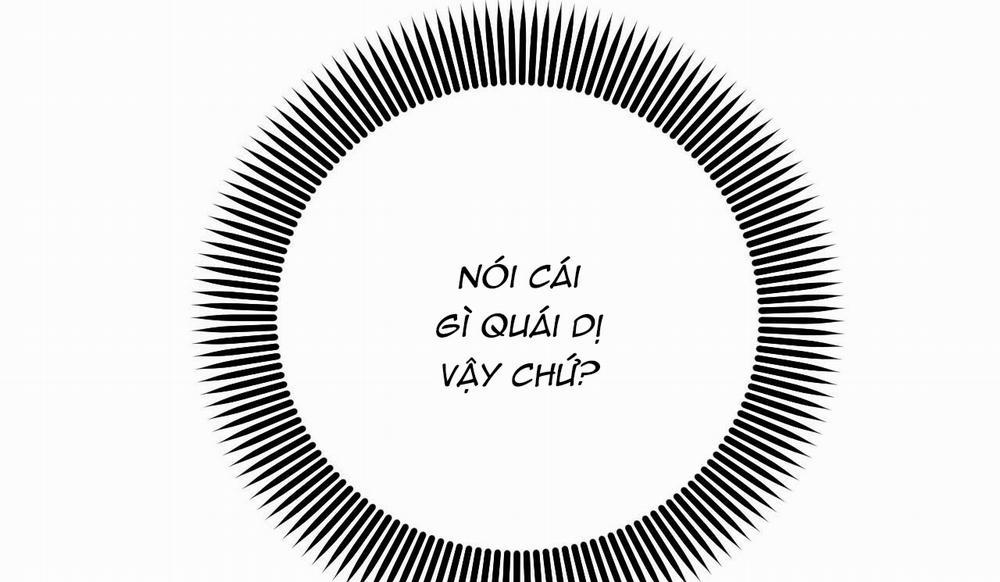 Đàn Thỏ Của Habibi 48 trang 203