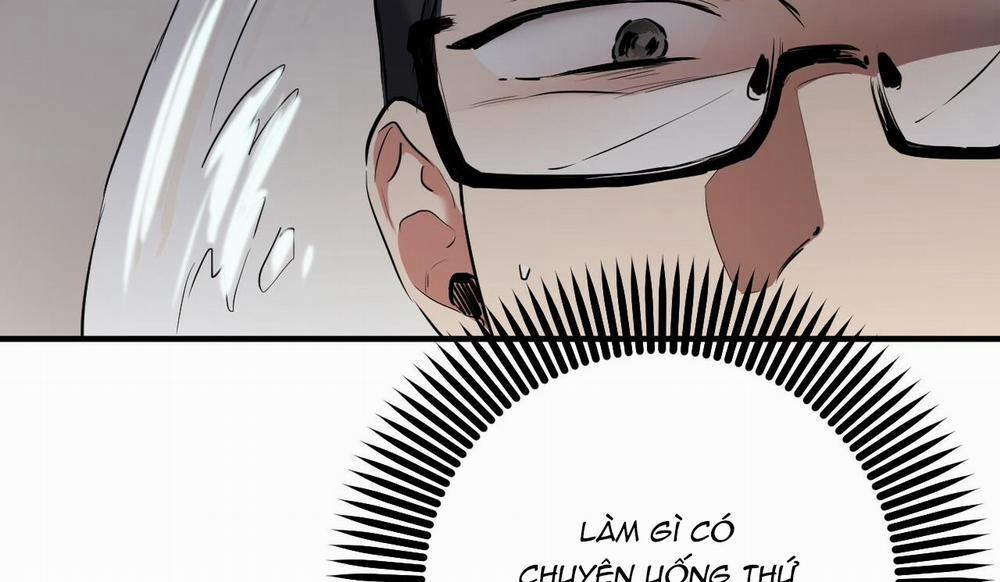 Đàn Thỏ Của Habibi 48 trang 205