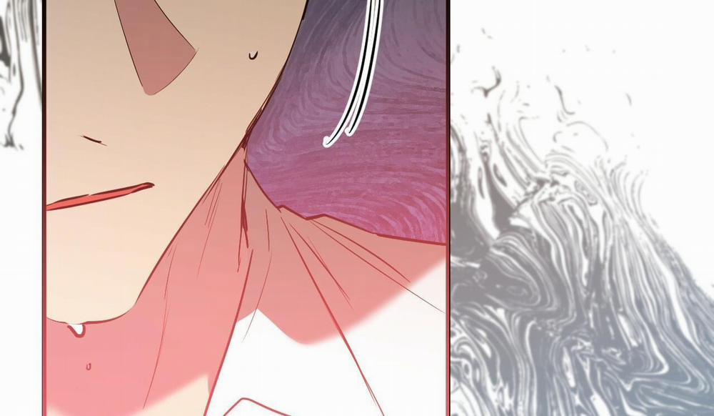 Đàn Thỏ Của Habibi 48 trang 210