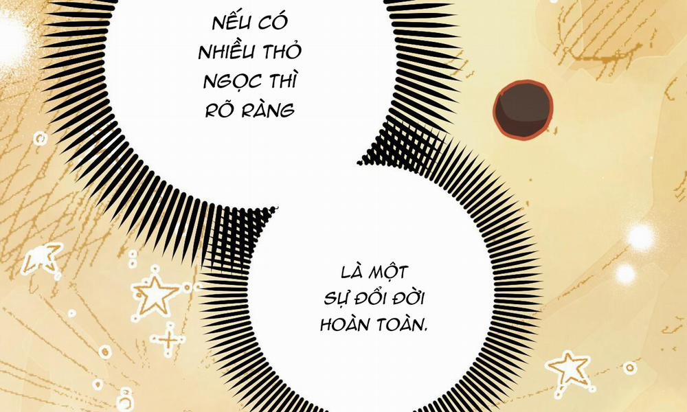 Đàn Thỏ Của Habibi 48 trang 257