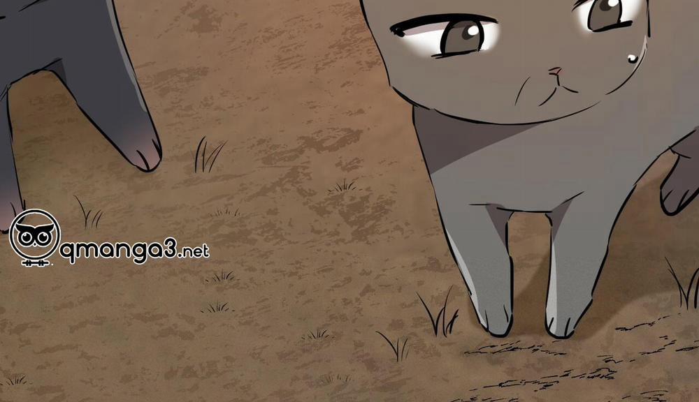 Đàn Thỏ Của Habibi 48 trang 283