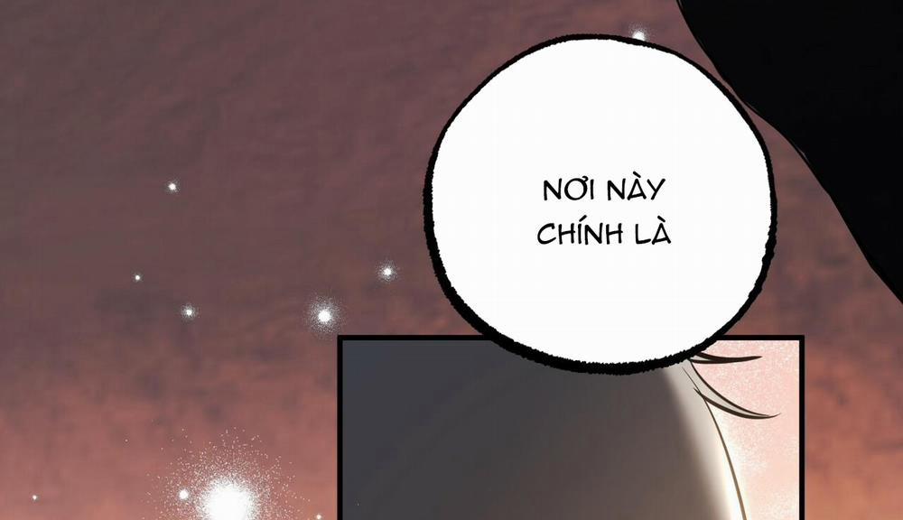 Đàn Thỏ Của Habibi 48 trang 293