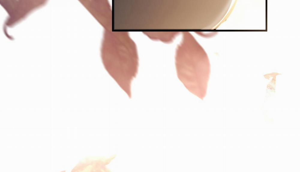 Đàn Thỏ Của Habibi 48 trang 295