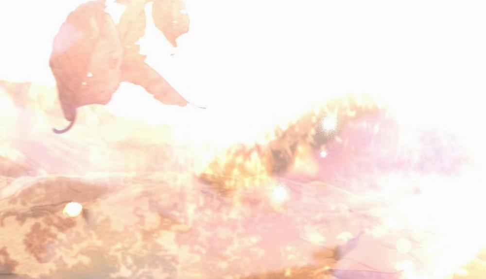 Đàn Thỏ Của Habibi 48 trang 296